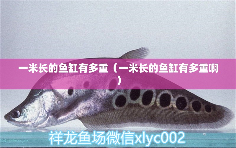 一米長(zhǎng)的魚缸有多重（一米長(zhǎng)的魚缸有多重?。? title=