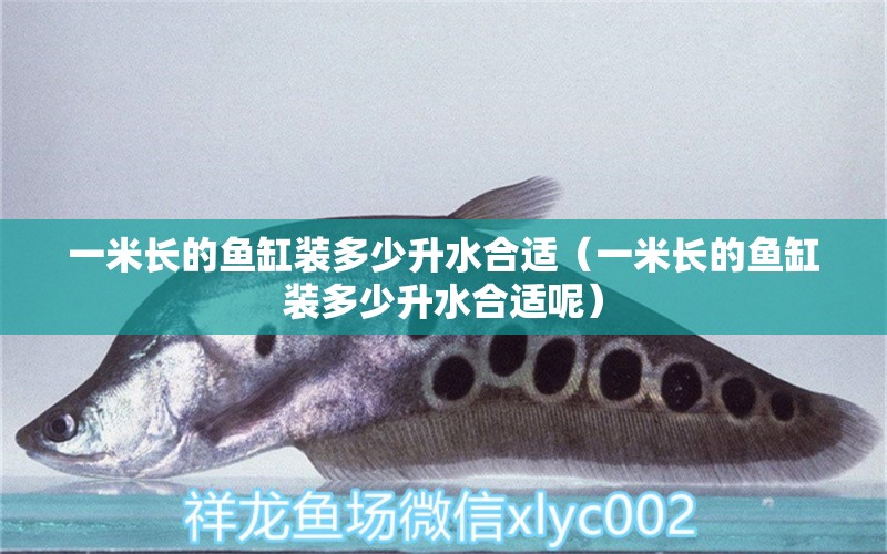 一米長的魚缸裝多少升水合適（一米長的魚缸裝多少升水合適呢）