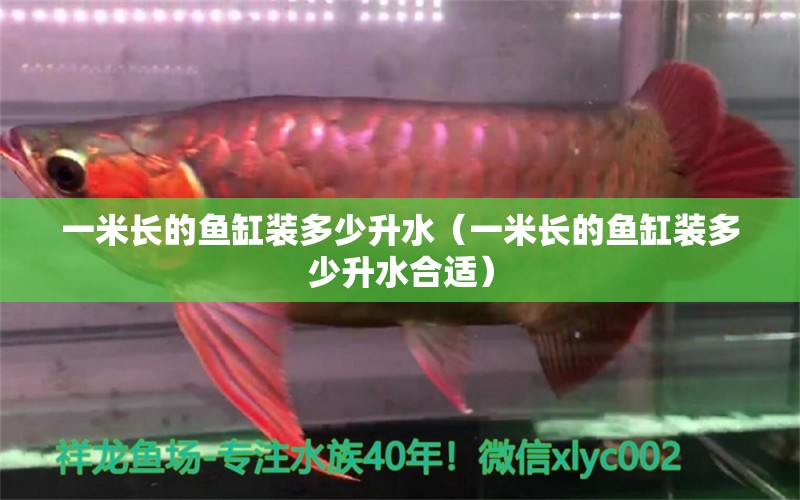 一米長的魚缸裝多少升水（一米長的魚缸裝多少升水合適）