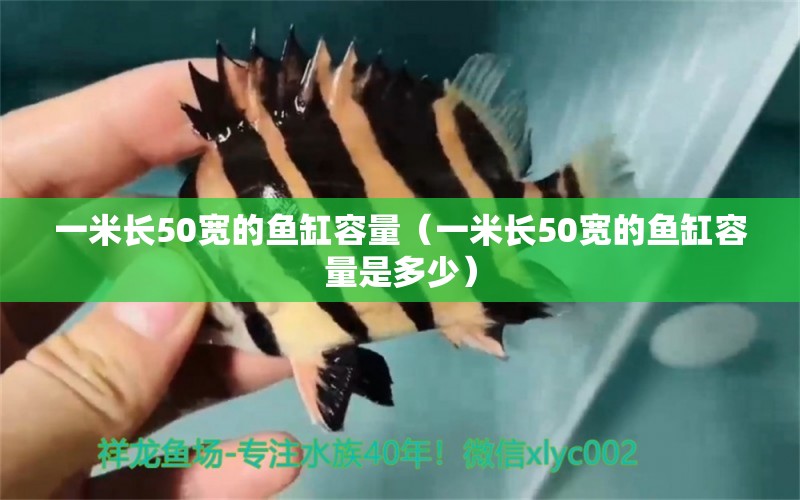 一米長50寬的魚缸容量（一米長50寬的魚缸容量是多少） 魚缸百科