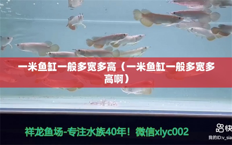 一米魚缸一般多寬多高（一米魚缸一般多寬多高?。? title=