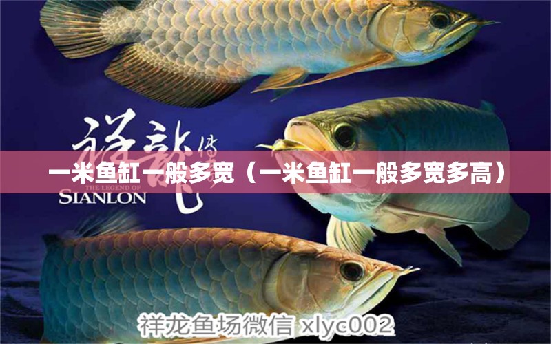 一米魚(yú)缸一般多寬（一米魚(yú)缸一般多寬多高）