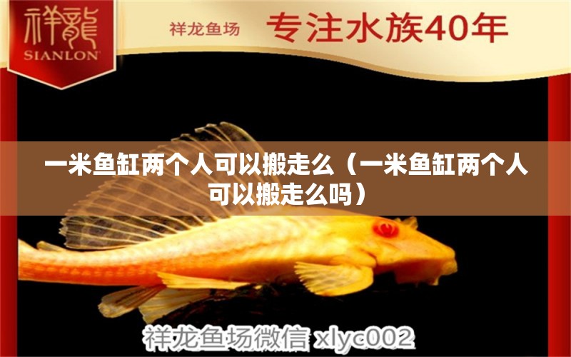 一米魚缸兩個人可以搬走么（一米魚缸兩個人可以搬走么嗎） 其他品牌魚缸