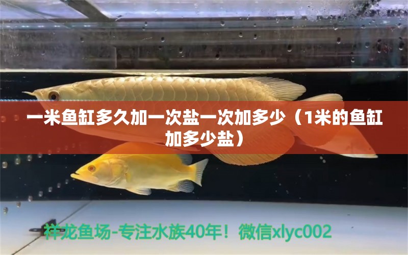 一米魚缸多久加一次鹽一次加多少（1米的魚缸加多少鹽） 其他品牌魚缸