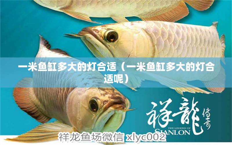 一米魚缸多大的燈合適（一米魚缸多大的燈合適呢） 其他品牌魚缸