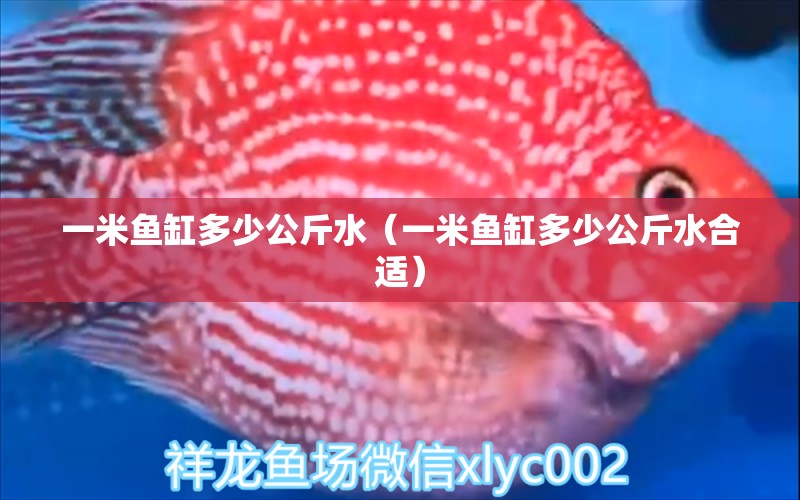 一米魚(yú)缸多少公斤水（一米魚(yú)缸多少公斤水合適）