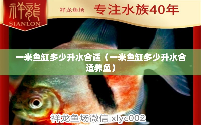 一米魚(yú)缸多少升水合適（一米魚(yú)缸多少升水合適養(yǎng)魚(yú)）