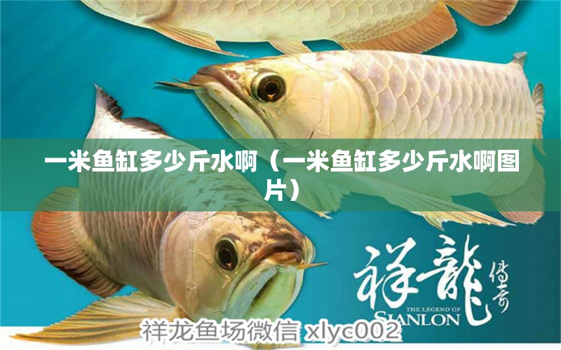 一米魚(yú)缸多少斤水啊（一米魚(yú)缸多少斤水啊圖片）