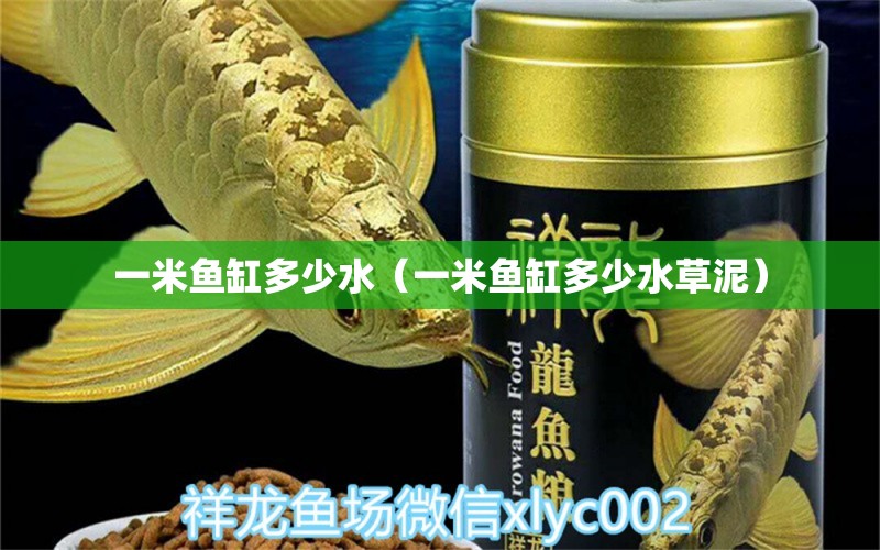 一米魚缸多少水（一米魚缸多少水草泥） 水草