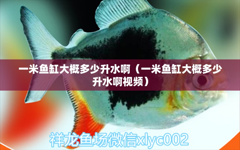 一米魚缸大概多少升水?。ㄒ幻佐~缸大概多少升水啊視頻）