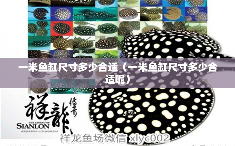 一米魚缸尺寸多少合適（一米魚缸尺寸多少合適呢）