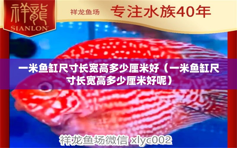 一米魚缸尺寸長(zhǎng)寬高多少厘米好（一米魚缸尺寸長(zhǎng)寬高多少厘米好呢） 其他品牌魚缸