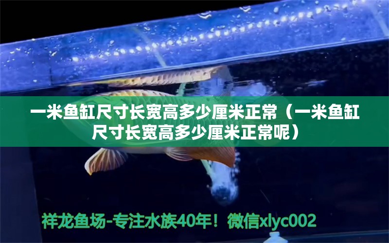 一米魚缸尺寸長寬高多少厘米正常（一米魚缸尺寸長寬高多少厘米正常呢） 其他品牌魚缸