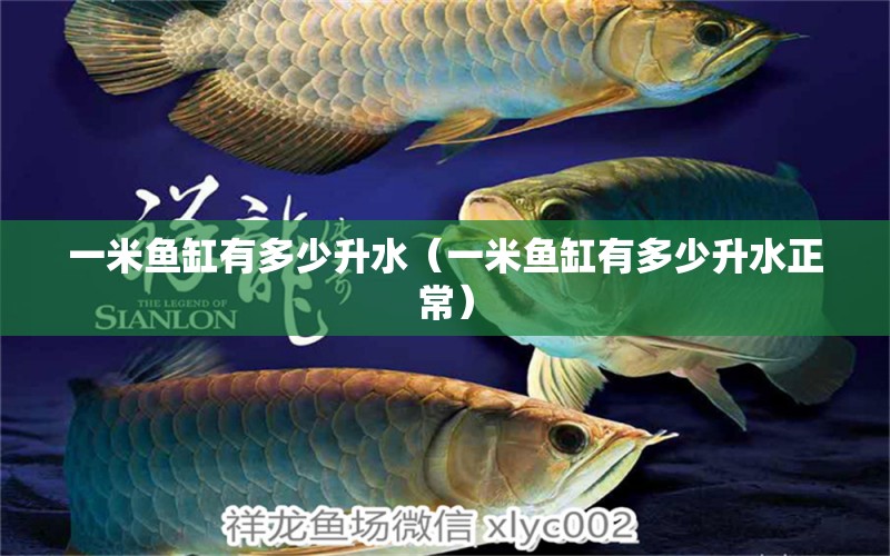 一米魚缸有多少升水（一米魚缸有多少升水正常）