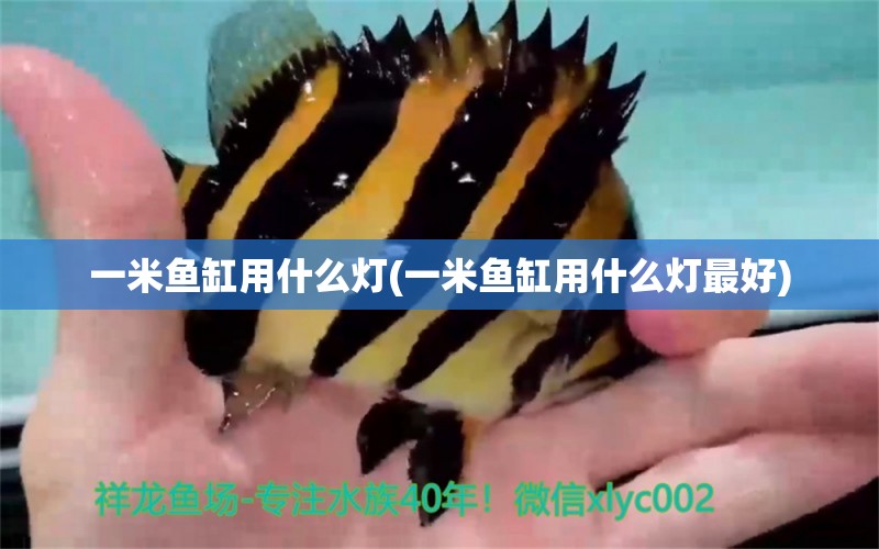 一米魚缸用什么燈(一米魚缸用什么燈最好)