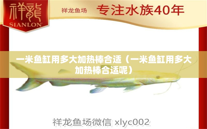 一米魚(yú)缸用多大加熱棒合適（一米魚(yú)缸用多大加熱棒合適呢） 魚(yú)缸百科