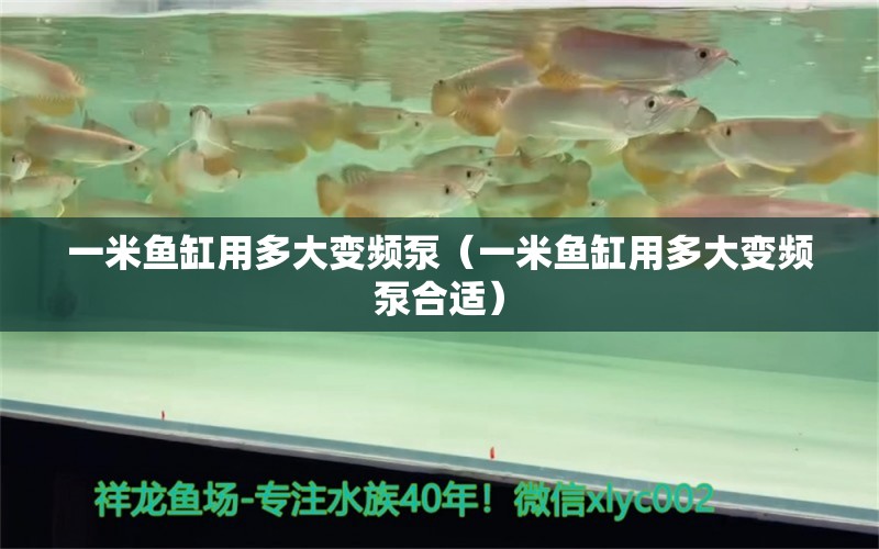 一米魚缸用多大變頻泵（一米魚缸用多大變頻泵合適）