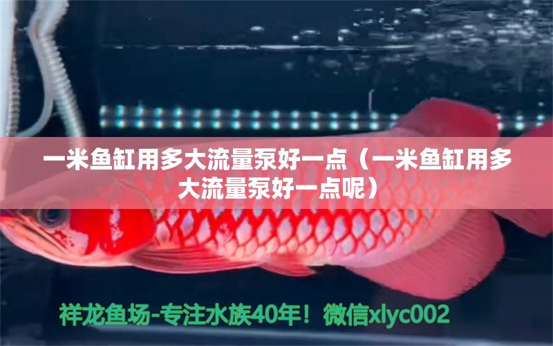 一米魚缸用多大流量泵好一點（一米魚缸用多大流量泵好一點呢）