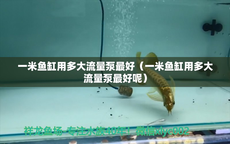 一米魚缸用多大流量泵最好（一米魚缸用多大流量泵最好呢） 魚缸百科