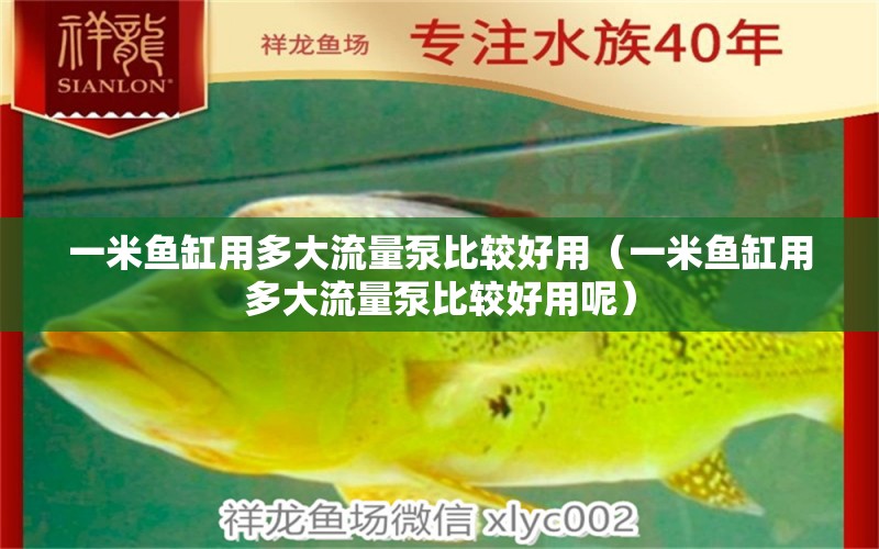 一米魚缸用多大流量泵比較好用（一米魚缸用多大流量泵比較好用呢）