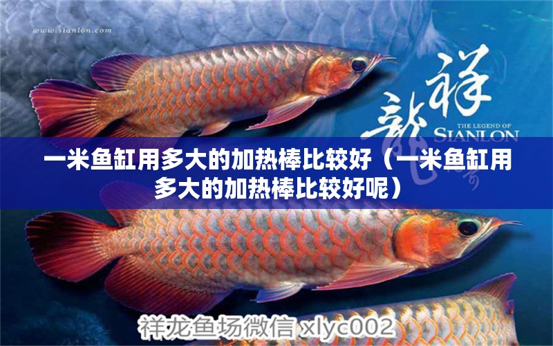 一米魚缸用多大的加熱棒比較好（一米魚缸用多大的加熱棒比較好呢）