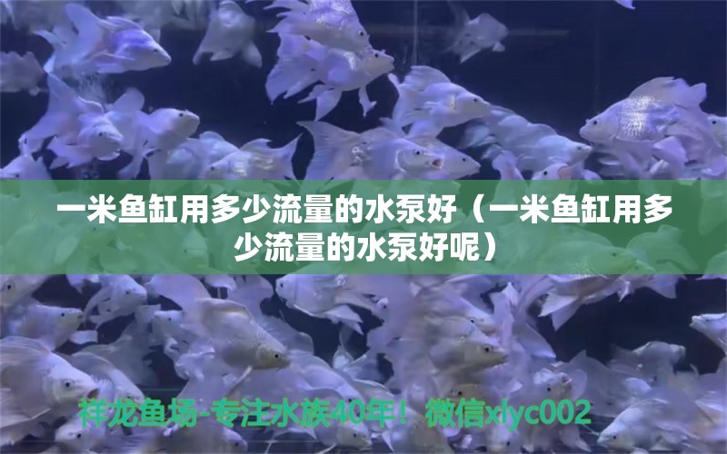 一米魚缸用多少流量的水泵好（一米魚缸用多少流量的水泵好呢）