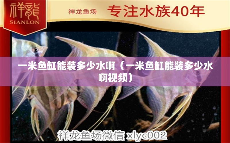 一米魚缸能裝多少水?。ㄒ幻佐~缸能裝多少水啊視頻）