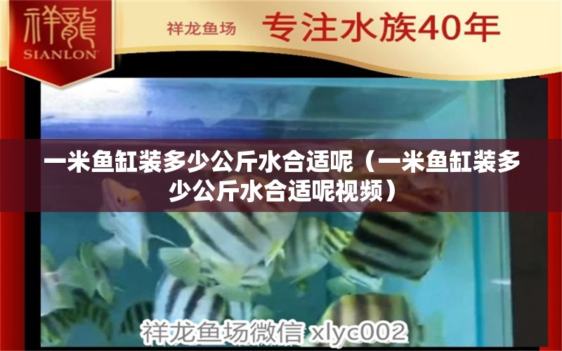 一米魚缸裝多少公斤水合適呢（一米魚缸裝多少公斤水合適呢視頻） 魚缸百科