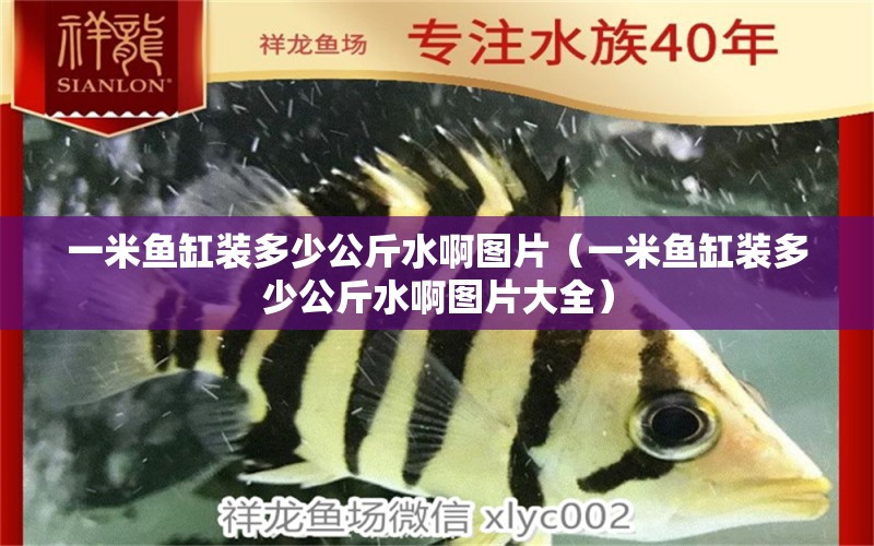 一米魚(yú)缸裝多少公斤水啊圖片（一米魚(yú)缸裝多少公斤水啊圖片大全） 魚(yú)缸百科