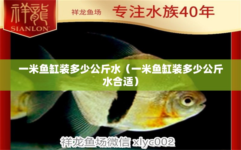 一米魚缸裝多少公斤水（一米魚缸裝多少公斤水合適） 魚缸百科