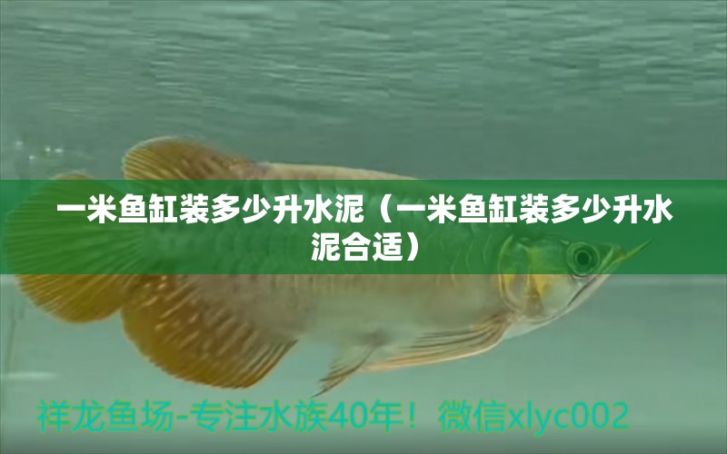 一米魚(yú)缸裝多少升水泥（一米魚(yú)缸裝多少升水泥合適）