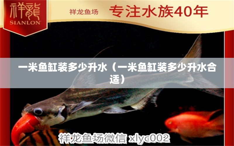 一米魚缸裝多少升水（一米魚缸裝多少升水合適）