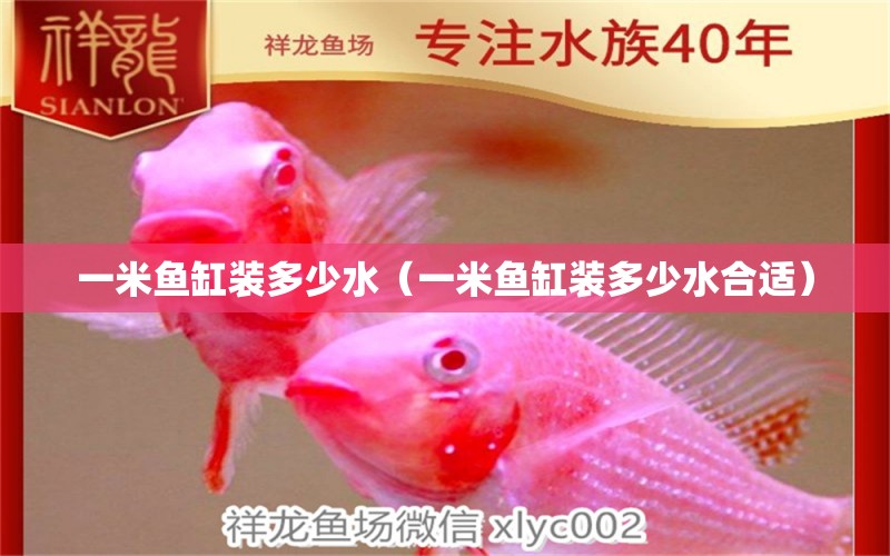 一米魚缸裝多少水（一米魚缸裝多少水合適） 魚缸百科