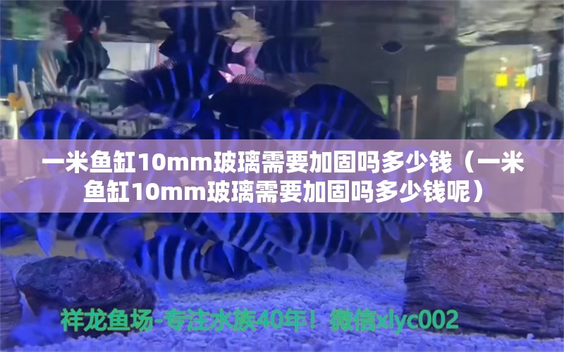 一米魚缸10mm玻璃需要加固嗎多少錢（一米魚缸10mm玻璃需要加固嗎多少錢呢）