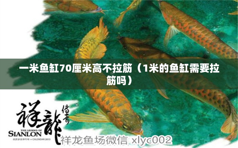 一米魚缸70厘米高不拉筋（1米的魚缸需要拉筋嗎） 魚缸百科