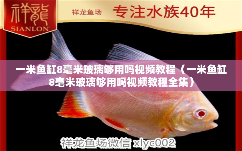 一米魚(yú)缸8毫米玻璃夠用嗎視頻教程（一米魚(yú)缸8毫米玻璃夠用嗎視頻教程全集）