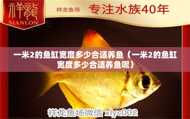 一米2的魚(yú)缸寬度多少合適養(yǎng)魚(yú)（一米2的魚(yú)缸寬度多少合適養(yǎng)魚(yú)呢）