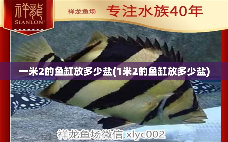 一米2的魚缸放多少鹽(1米2的魚缸放多少鹽)