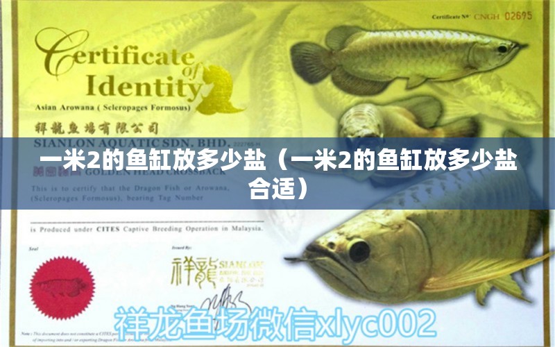 一米2的魚缸放多少鹽（一米2的魚缸放多少鹽合適）