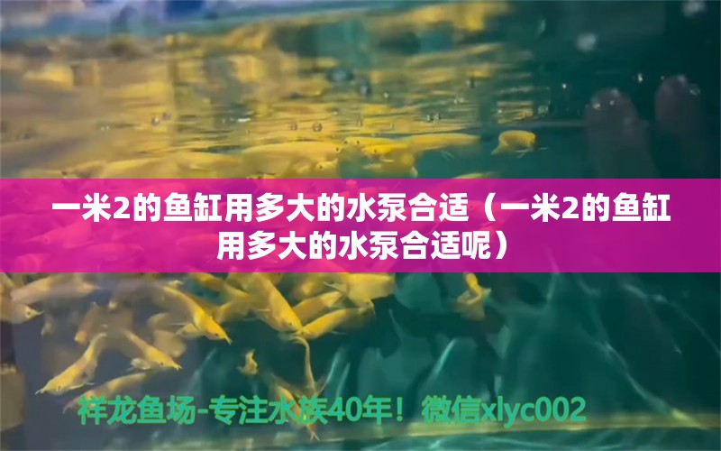 一米2的魚缸用多大的水泵合適（一米2的魚缸用多大的水泵合適呢）