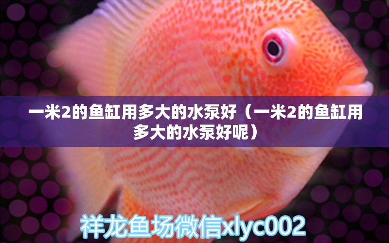 一米2的魚缸用多大的水泵好（一米2的魚缸用多大的水泵好呢）