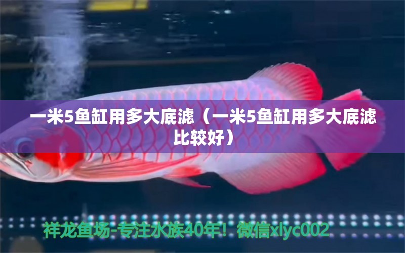 一米5魚缸用多大底濾（一米5魚缸用多大底濾比較好）