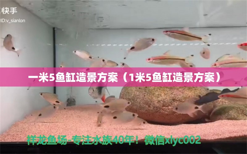 一米5魚缸造景方案（1米5魚缸造景方案）