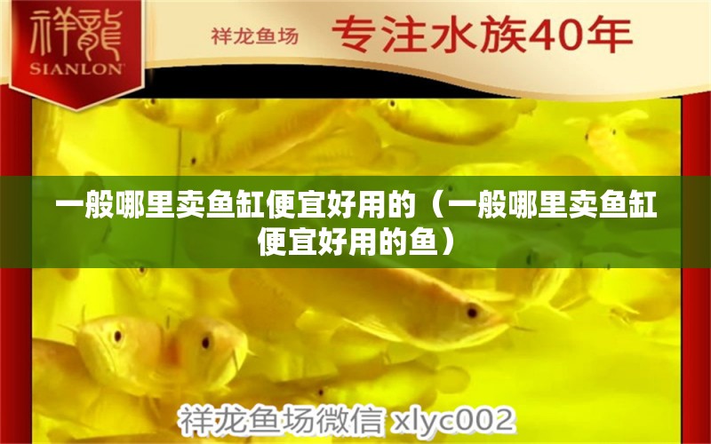 一般哪里賣魚缸便宜好用的（一般哪里賣魚缸便宜好用的魚） 祥龍水族醫(yī)院