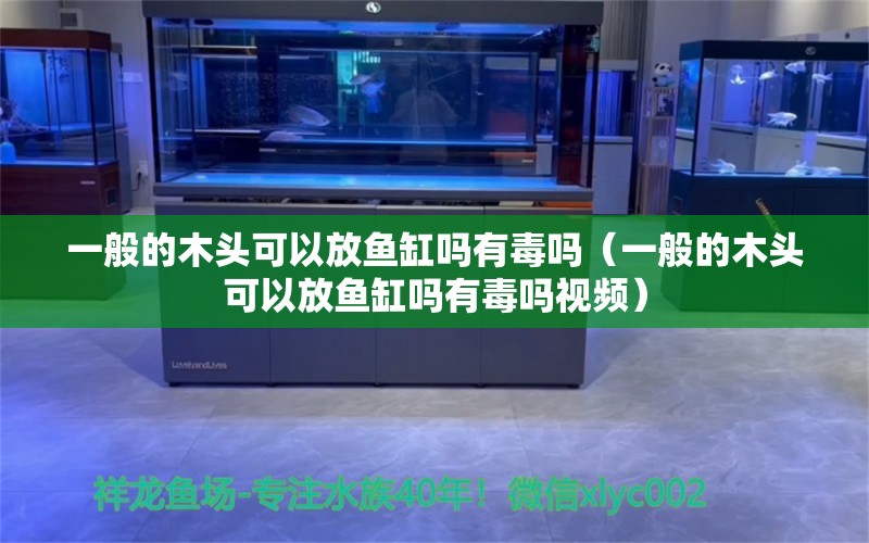 一般的木頭可以放魚缸嗎有毒嗎（一般的木頭可以放魚缸嗎有毒嗎視頻） 其他品牌魚缸