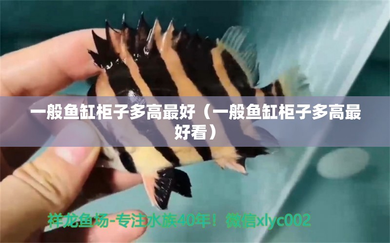 一般魚(yú)缸柜子多高最好（一般魚(yú)缸柜子多高最好看）