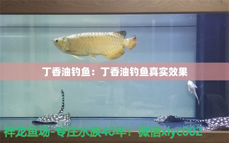 丁香油釣魚：丁香油釣魚真實效果 垂釣樂園