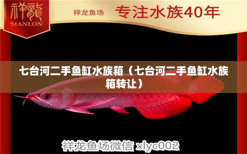 七臺河二手魚缸水族箱（七臺河二手魚缸水族箱轉(zhuǎn)讓） 魚缸/水族箱