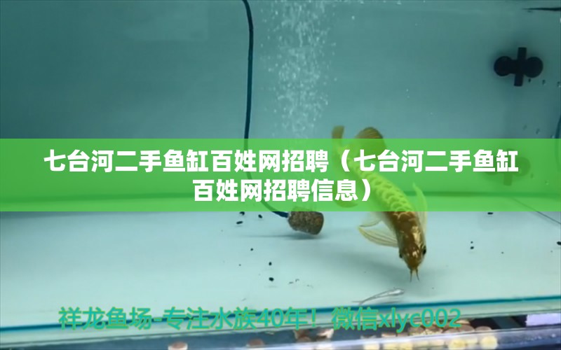 七臺(tái)河二手魚(yú)缸百姓網(wǎng)招聘（七臺(tái)河二手魚(yú)缸百姓網(wǎng)招聘信息）