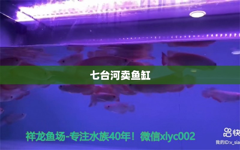 七臺河賣魚缸 其他品牌魚缸